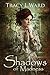 Shadows of Madness (A Marshall House Mystery Book 6)