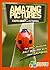 Amazing Pictures and Facts About Ladybugs: The Most Amazing Fact Book for Kids About Ladybugs