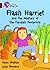 Flash Harriet and the Mystery of the Fiendish Footprints