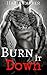 Burn it Down (Los Banditos #3)