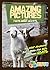 Amazing Pictures and Facts About Goats by Mina Kelly