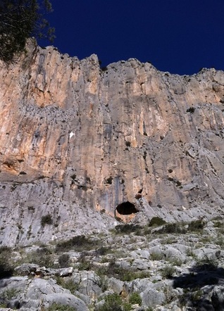 El último perro (Unknown Binding)