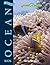 The New Ocean Book