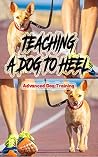 Teaching A Dog To Heel: Advanced Dog Training Teaching A Dog To Heel: Advanced Dog Training