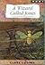 A Wizard Called Jones (Simon Jones the Wizard #2)