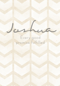 Joshua: Every Good Promise Fulfilled (ebook)