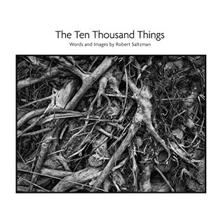 The Ten Thousand Things (Kindle Edition)