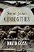 Saint John Curiosities by David Goss