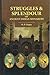 Struggles Splendour of Ancient Indian Monarchs by O.P. Gupta