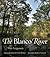 The Blanco River by Wes  Ferguson