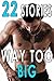 Way Too Big: 22 Hot Gay Books
