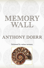 Memory Wall