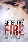 After the Fire by Felice Stevens