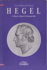 Hegel: a razão quase enlouquecida
