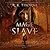 Mage Slave (The Enslaved Chronicles, #1)