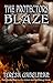 Blaze (The Protectors, #10) by Teresa Gabelman