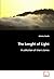 The Lenght of Light: A coll...
