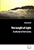 The Lenght of Light by Unoma Azuah