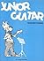 Junior Guitar Teacher's Book by Doug Kennedy