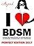 I love BDSM - Perfect Editi...