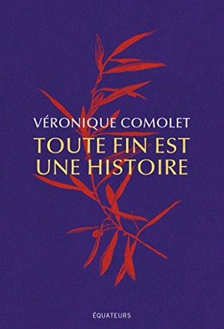Toute fin est une histoire (French Edition)
