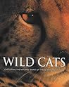 Wild Cats: Capturing The Natural Spirit Of These Amazing Animals