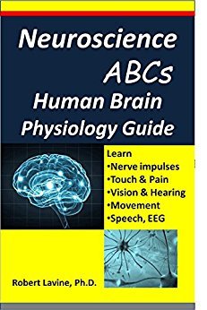 Neuroscience ABCs:  Human Brain Physiology Guide