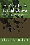 A Year In A Druid Grove: Celebrating the Seasonal Festivals on the Wheel of the Year