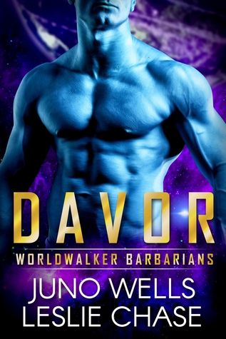Davor (Worldwalker Barbarians, #2)