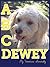 ABCDewey by Veronica Saretsky