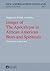 Images of The Apocalypse in African American Blues and Spirituals: Destruction in this Land (New Americanists in Poland)