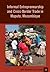 Informal Entrepreneurship and Cross-Border Trade in Maputo, M... by Ines Raimundo