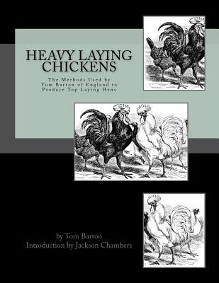 Heavy Laying Chickens: The Methods Used by Tom Barron of England to Produce Top Laying Hens