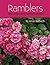 RAMBLERS And Other Rose Species Hybrids