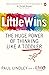 Little Wins: The Huge Power...