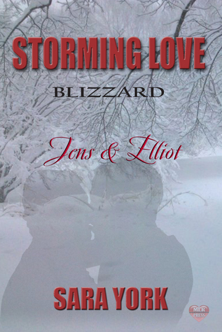 Jens &Amp; Elliott (Storming Love: Blizzard #1) By Sara York