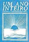 Um Ano Inteiro - ...
