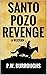 Santo Pozo Revenge