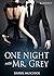 One Night with Mr Grey