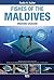 Fishes of the Maldives: Indian Ocean