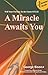 A Miracle Awaits You by George Sison