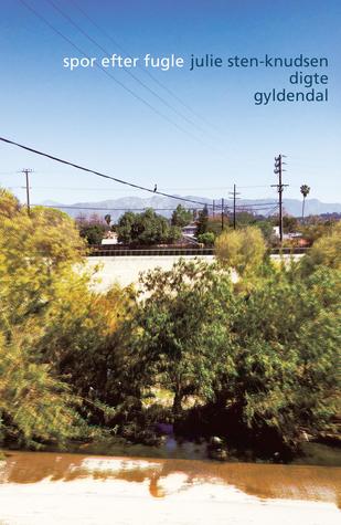 Spor efter fugle (Paperback)