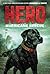 Hero: Hurricane Rescue (Hero #2)