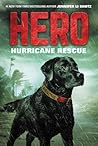 Hero: Hurricane R...