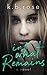 In What Remains by K.B. Rose