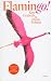 Flamingo!