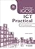Cambridge IGCSE ICT Practical Workbook
