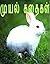 முயல்: கதைகள்