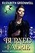 Burned Faerie (Faerie Mercenary Book 2)