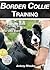 Border Collie Training: The Complete Guide To Training the Best Dog Ever